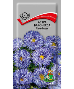 Астра Баронесса Сине-белая Астра Баронесса Сине-белая