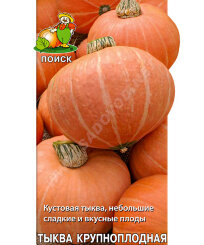 Тыква Амазонка (простые пакеты)