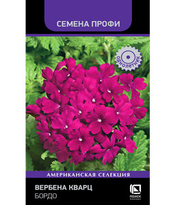 Вербена Кварц Бордо (Профи)