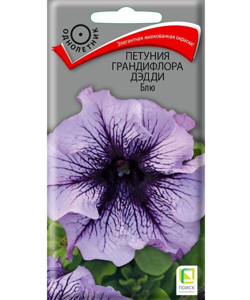 Петуния грандифлора Дэдди Блю  семена