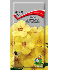 Флокс Красотка в жёлтом (друммонда) Флокс Красотка в жёлтом (друммонда)