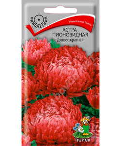 Астра пионовидная Дюшес Красная