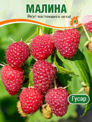 Малина Гусар