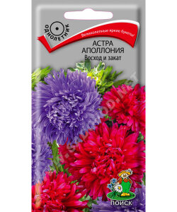 Астра Аполлония Восход и Закат Астра Аполлония Восход и Закат