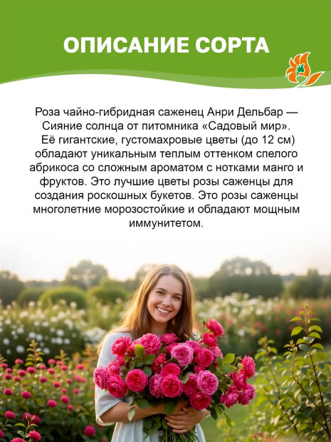 Роза Анри Дельбар