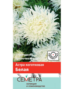 Астра коготковая Белая Астра коготковая Белая