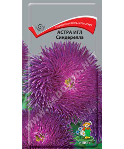 Астра Игл Синдерелла Астра Игл Синдерелла