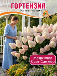 Гортензия Мэджикал Свит Саммэ Гортензия Мэджикал Свит Саммэ