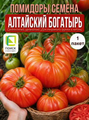 Томат Алтайский Богатырь Томат Алтайский Богатырь