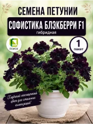 Петуния гибридная Софистика Блэкберри