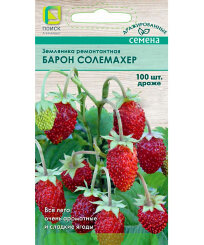 Земляника Барон Солемахер драже (ремонтантная)