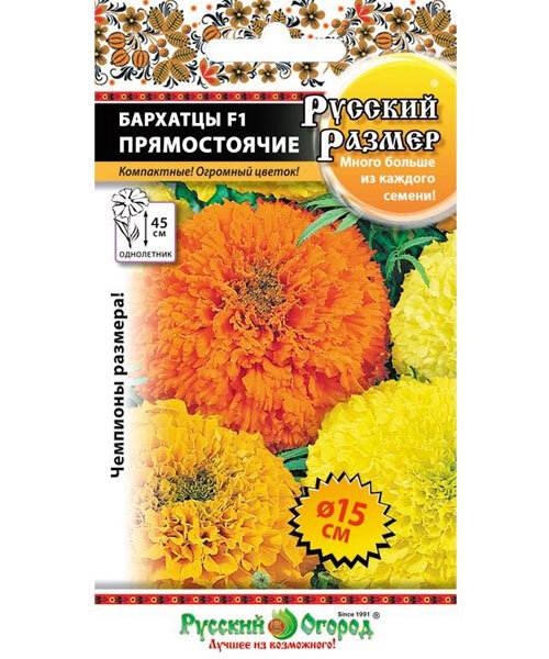 Цветы Бархатцы прямостоячие Русский размер смесь