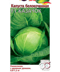 Капуста Казачок F1 (белокочанная)