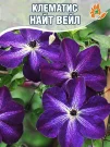 Клематис Найт Вейл (крупноцветковый) Клематис Найт Вейл (крупноцветковый)
