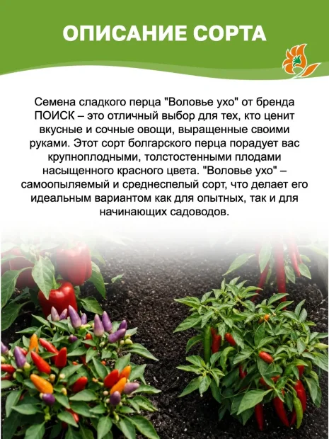 Перец сладкий Воловье ухо семена 
