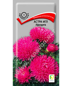 Астра Игл Афродита