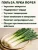 Лук порей Карантанский семена 