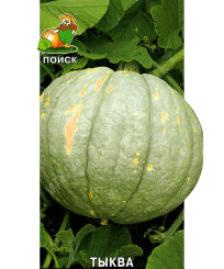 Тыква Зимняя сладкая 