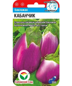 Баклажан Кабанчик