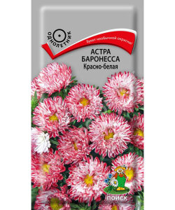 Астра Баронесса красно-белая Астра Баронесса красно-белая